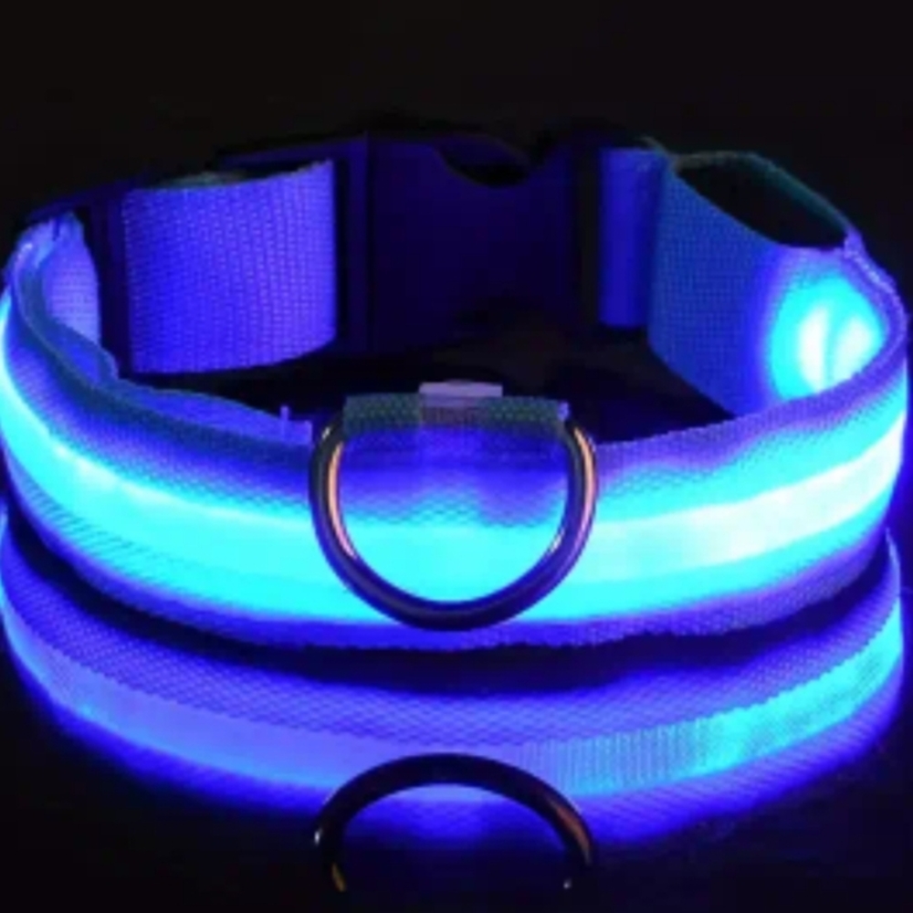 Medium LED Dog Collar, Blue, Adjustable, New